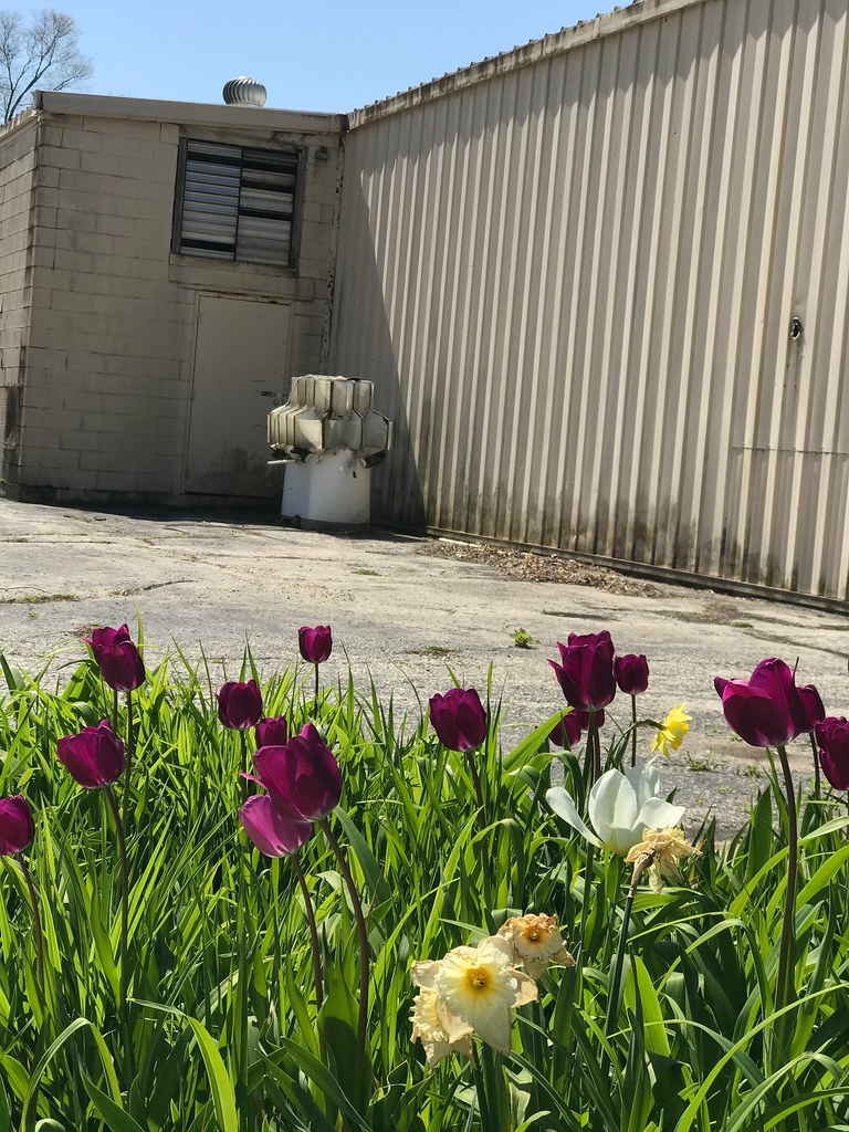 Mishicot Markdown A Small Town Supermarket Checks Out Urbanist